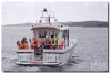 hveckan08_045